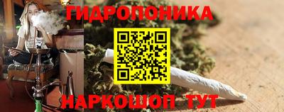 Альфа ПВП Можга