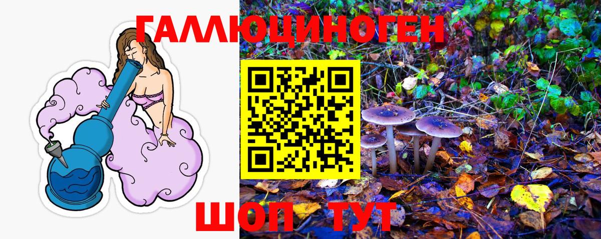 Галлюциногенные грибы GOLDEN TEACHER Туапсе
